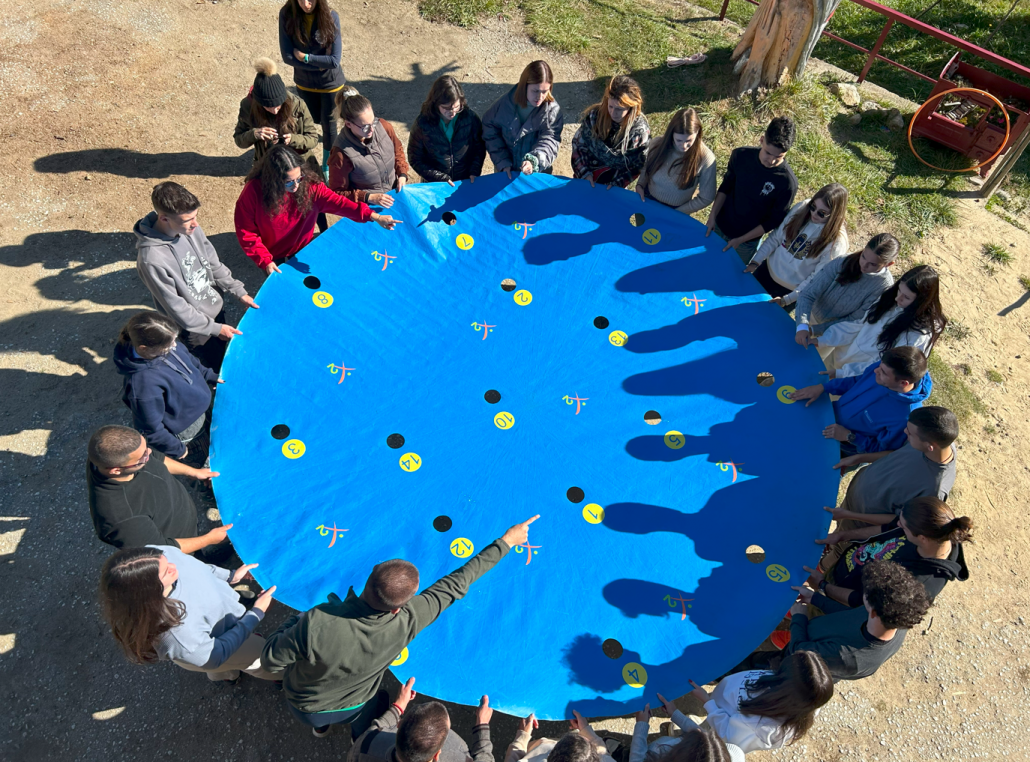 viber_изображение_2024-11-29_20-06-53-126