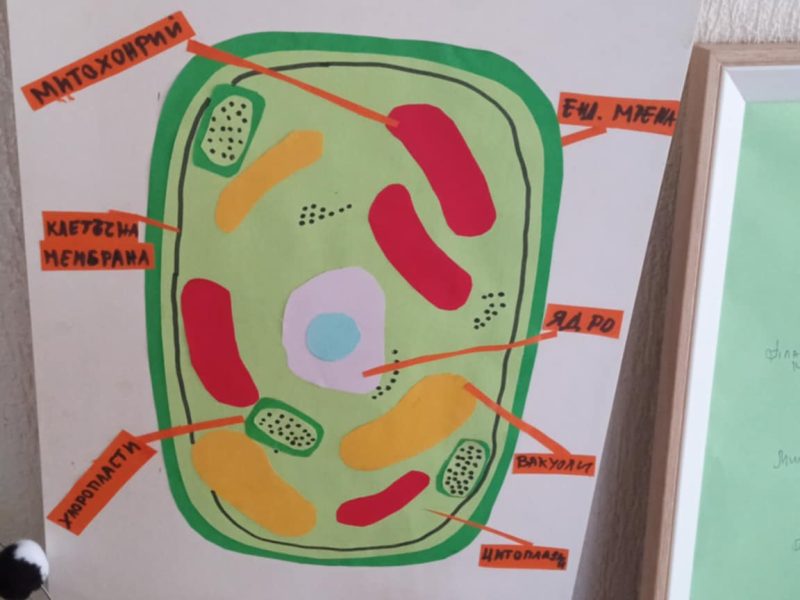 78384f57-a9fa-4ee1-8044-ff6e9914c890