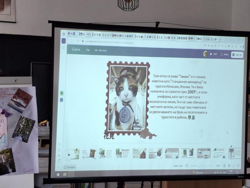 viber_image_2025-04-08_23-09-20-455